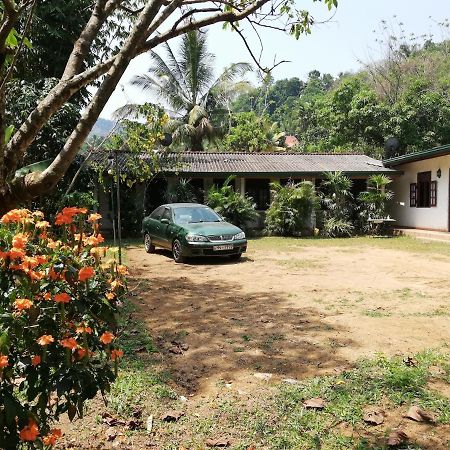 Leaf Guest House غامبولا المظهر الخارجي الصورة