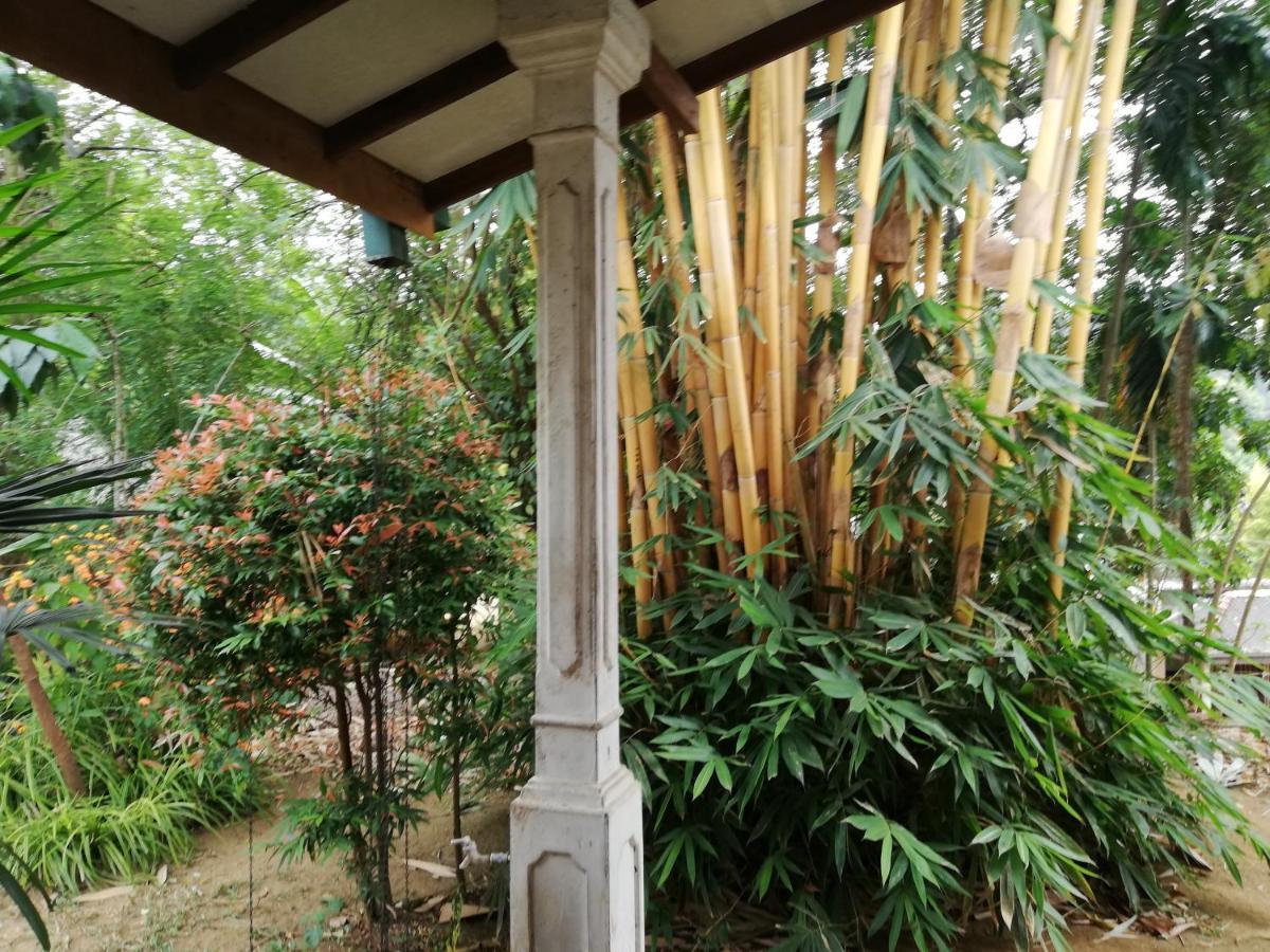 Leaf Guest House غامبولا المظهر الخارجي الصورة