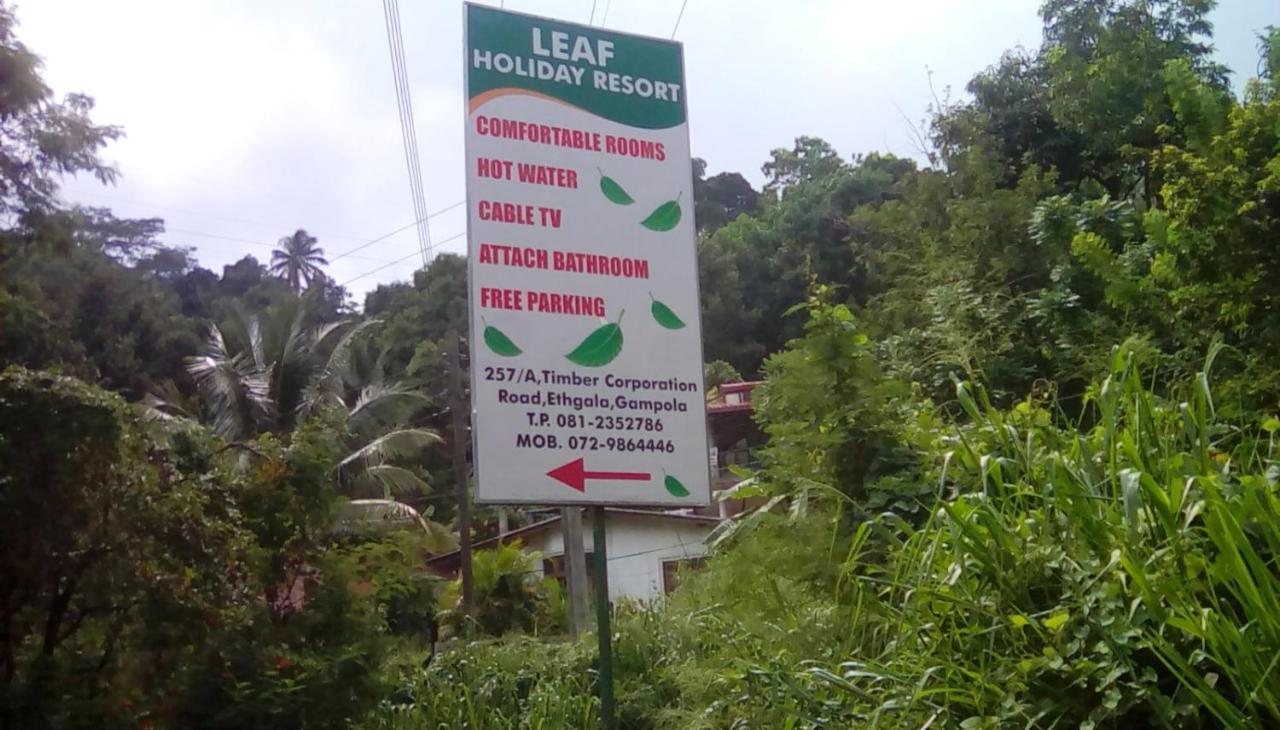 Leaf Guest House غامبولا المظهر الخارجي الصورة