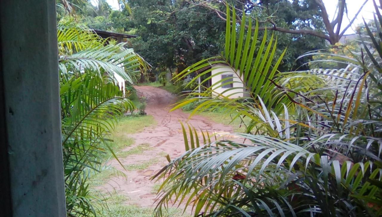 Leaf Guest House غامبولا المظهر الخارجي الصورة