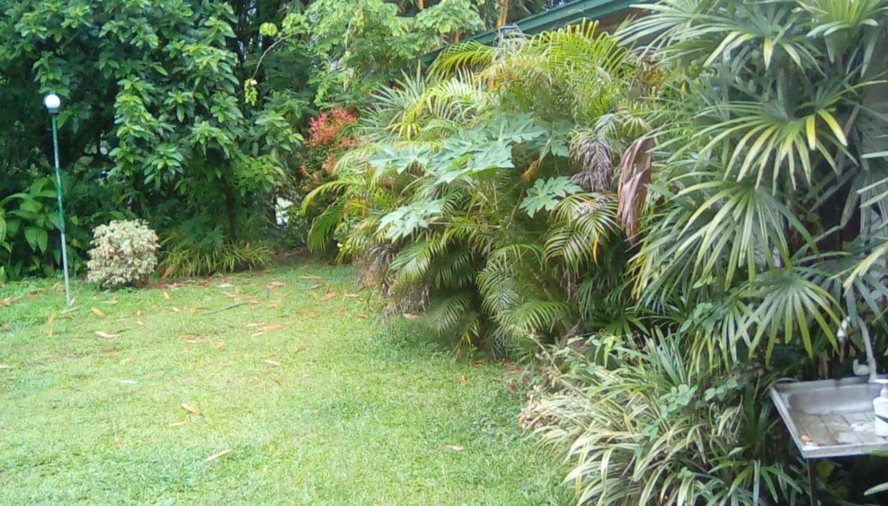 Leaf Guest House غامبولا المظهر الخارجي الصورة