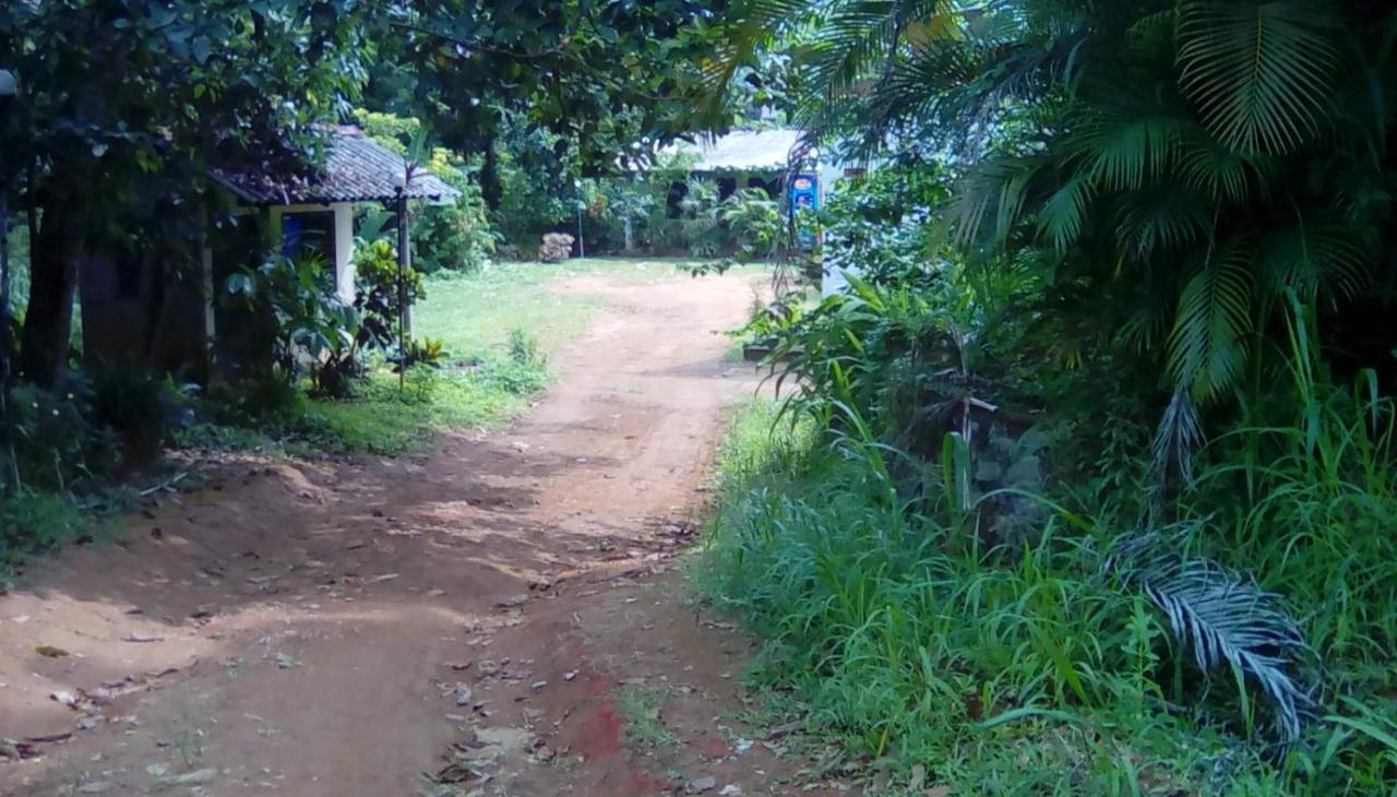 Leaf Guest House غامبولا المظهر الخارجي الصورة